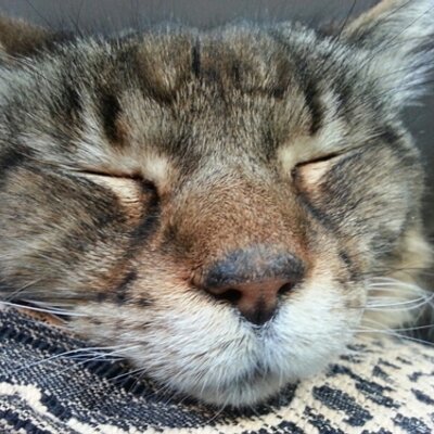 Profile Picture of Joe Carr (@joe_bwab) on Twitter