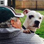 Profile Picture of Joe Perno (@jp_photo12) on Instagram