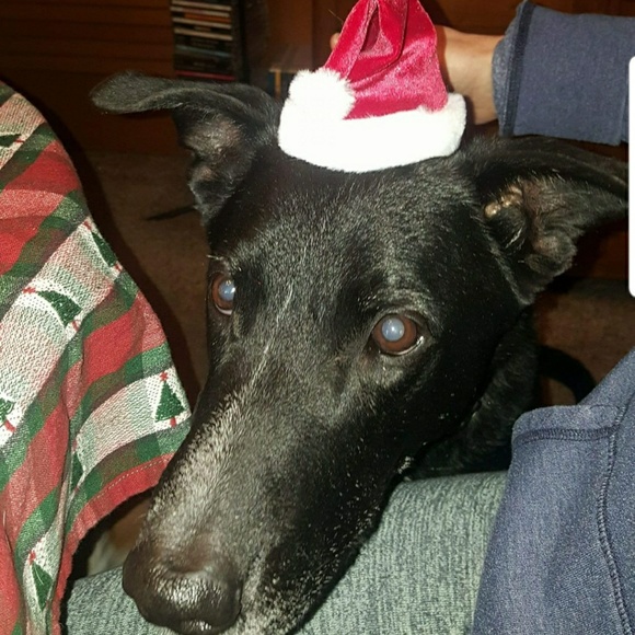 Profile Picture of Jeremy Schnedler (@schned76) on Poshmark