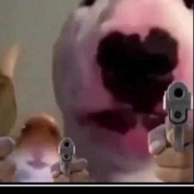 Profile Picture of Ian Neubauer (@ianneubauer2) on Twitter