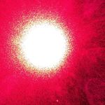 Profile Picture of Steven Seiler (@esteviesei) on Instagram