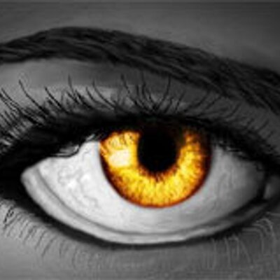 Profile Picture of Julie A Reece (@@JulieAReece) on Twitter