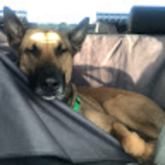 Profile Picture of Jodi Derr (@jnderr24) on Poshmark