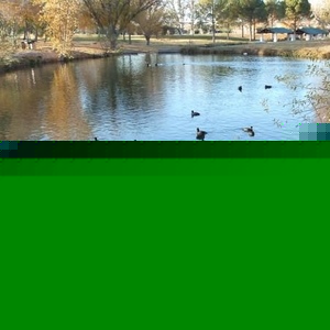 Profile Picture of Tovia. Snow (@tony_dano) on Myspace