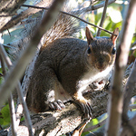 Profile Picture of Steve Merritt (@sdmerritt09) on Flickr