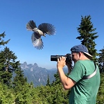 Profile Picture of James MacKenzie (@biodiversityvancouver) on Flickr