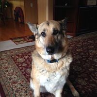 Profile Picture of Jeri Moore (@jeri-moore-6) on Quora