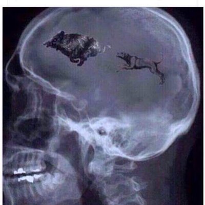 Profile Picture of Joachim Hoy (@JoHo492) on Twitter