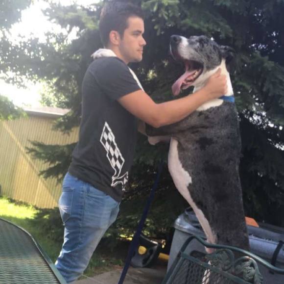 Profile Picture of Brad Gabrielsen (@bradgabrielsen) on Poshmark