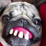 Profile Picture of Christian Keck (@i_am_am_a_boss) on Instagram