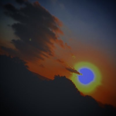 Profile Picture of Brandon Rodrigues (@Brandon75223186) on Twitter