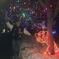 Profile Picture of Christopher Gully (@chrisgully148) on Twitter