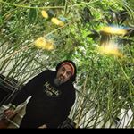 Profile Picture of Mark Rufus (@markrufus7) on Instagram