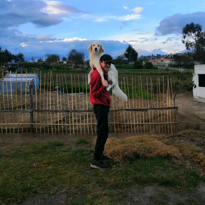 Profile Picture of Michael Pallo (@amoralasmascotas) on Tiktok