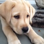 Profile Picture of Roberta (@robertadonahue) on Instagram