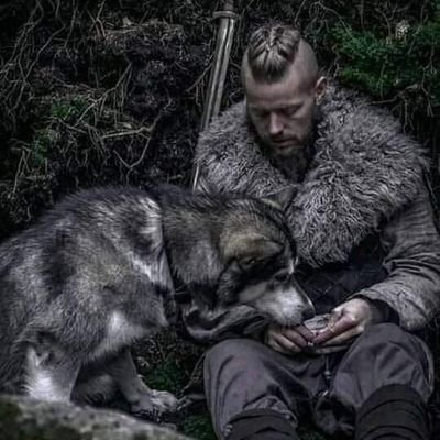 Profile Picture of Ahmed Shama (@ahmedshama848) on Twitter