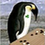 Profile Picture of Tiberiu Gociu (@thetible) on Flickr