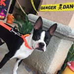 Profile Picture of Marshall Platero (@imm_marshall) on Instagram