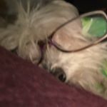 Profile Picture of Lori (@lori.haskins67) on Instagram