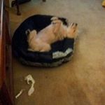 Profile Picture of Edith Cox (@cox.edith) on Instagram