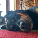 Profile Picture of Wendy Thompson-Fox Grady (@wendy00770) on Instagram