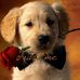 Profile Picture of Benjamin Broadie (@benjamin.broadie.9) on Facebook