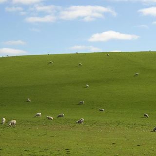 Profile Picture of Alice Cartledge (@alice.cartledge.1) on Facebook