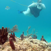 Profile Picture of Jennifer Kepler (@JeninBelgium) on Youtube