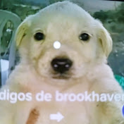 Profile Picture of Jacqueline Serna Quiroz (@JacquelineSernaQuiroz) on Youtube