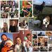 Profile Picture of Susan Button (@susan.button.7921) on Facebook