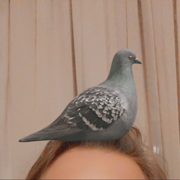 Profile Picture of Bridget Heeney (@bridgetheeney) on Poshmark