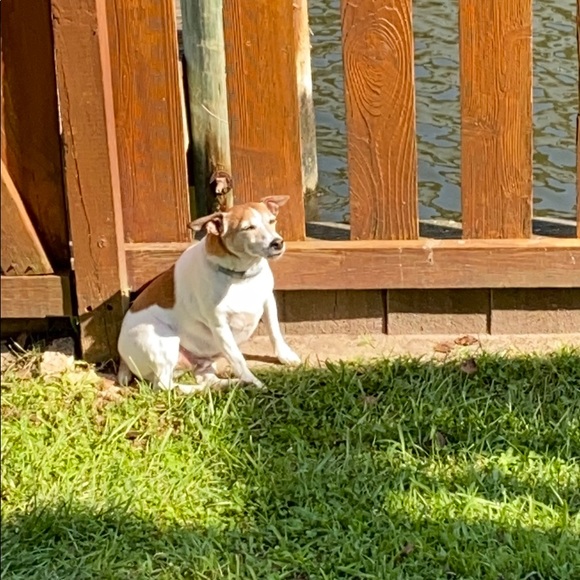 Profile Picture of Hejung Sapack (@hejung2) on Poshmark