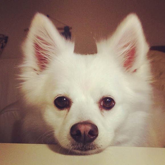 Profile Picture of Jenny Xiang (@pkc) on Poshmark