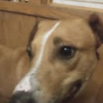 Profile Picture of Josh Earp (@joshua.earp.52) on Facebook