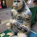 Profile Picture of Daniel Chilton (@daniel.chilton) on Instagram