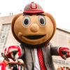 Profile Picture of   How I plan to walk into the... (@osubrutusbuckeye) on Tiktok