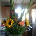 Profile Picture of JoAnn McLaughlin (@joann.mclaughlin.50) on Facebook