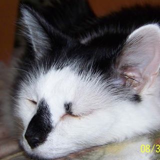 Profile Picture of Fae Thomas (@fae.thomas.96) on Facebook