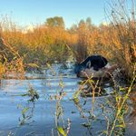 josh___baird - Instagram Profile Picture of josh___baird (@josh___baird) on Instagram