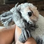 Profile Picture of Tom Yurko (@Tom-Yurko) on Facebook