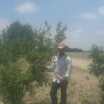 Profile Picture of Alex Lopez (@perfecto_lopez_1985) on Instagram