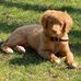 Profile Picture of Steve McClelland (@steve.mcclelland.942) on Facebook