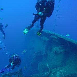 Profile Picture of Barry Reynolds (@BarryReynold5) on Twitter