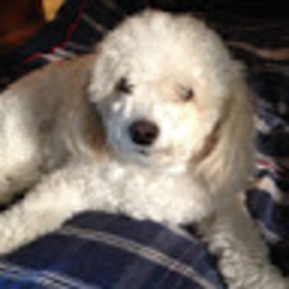 Profile Picture of Pam Heward (@pheward40) on Poshmark