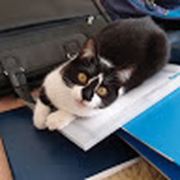 Profile Picture of Michael Chiaramonte (@michael-chiaramonte-7) on Quora