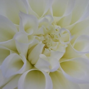 Profile Picture of Lucie Maurice (@435626866) on Myspace