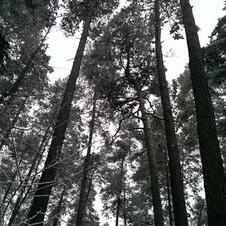 Frank Fleischmann - Twitter Profile Picture of Frank Fleischmann (@rotormangel) on Twitter