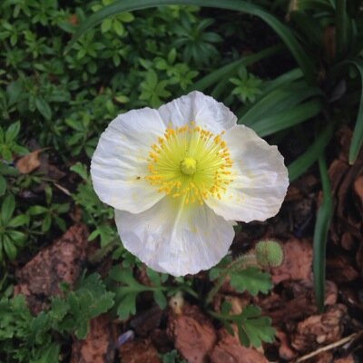 Profile Picture of Bridget Mckee (@bridget_mckee) on Twitter