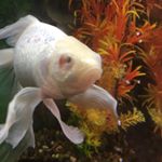 Profile Picture of Julia Jones (@julia.3j.jones) on Instagram