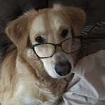 Profile Picture of Tisha Richardson (@tishrich007) on Instagram